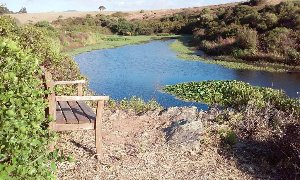 Herdade Do Pessegueiro Porto Covo Exterior photo
